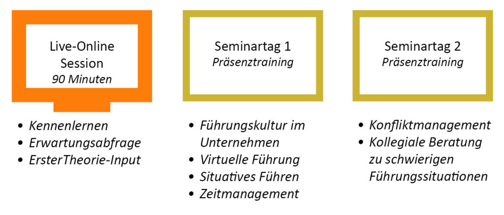 Aufbau eines Inhouse-Trainings zum Thema Führen auf Distanz (Blended Learning)