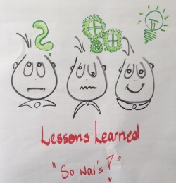 Grafik Lessons learned mit dynamic facilitation