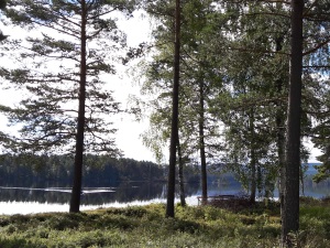 Camping - Keine künstlichen Lichtquellen, Nähe zur Natur, bestens geeignet die innere Uhr zu synchronisieren